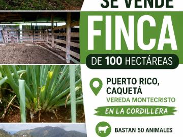 Finca En Venta En Puerto Rico En Montecristo V394462