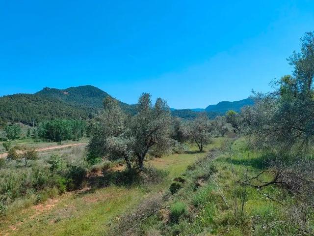 Finca en venta en Ráfales Teruel