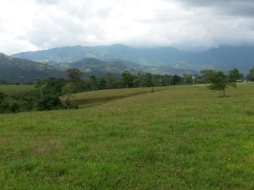 Finca En Venta En Restrepo En. V237298