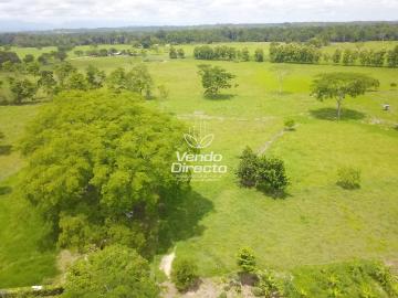 Finca En Venta En Rionegro V57111
