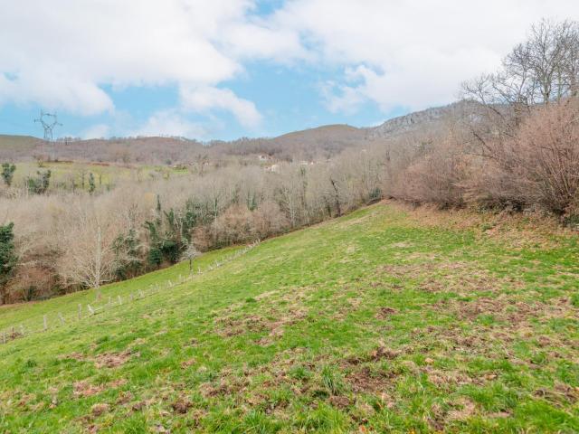 FINCA EN VENTA EN RIOSECO