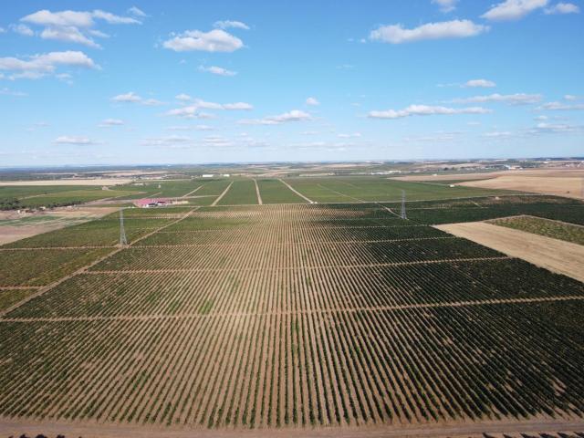 Finca en venta en Rueda Valladolid