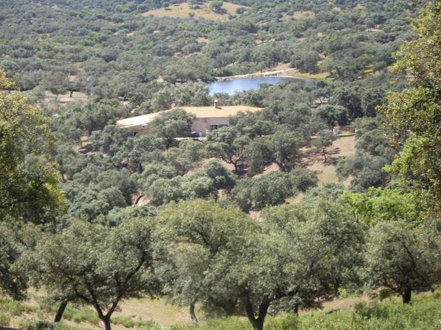 Finca en venta en Santa Olalla del Cala Huelva