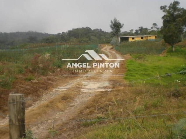 Finca en Venta en San Cristóbal Táchira