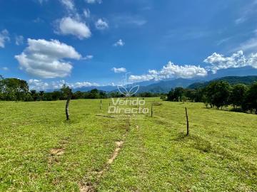 Finca En Venta En San Alberto V57128