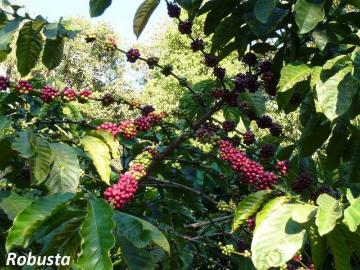 Finca En Venta En San Jose V59522