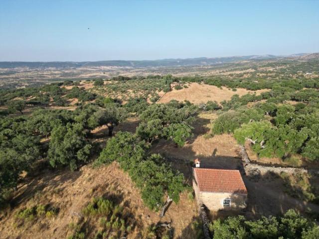 Finca en venta en San Vicente de Alcántara Badajoz