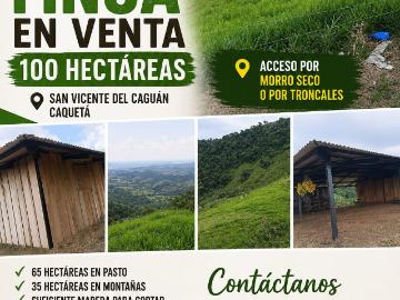 Finca En Venta En San Vicente Del Caguan En Morro Seco V394460