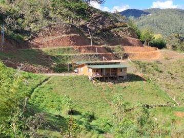 Finca En Venta En San Vicente En Vereda San Cristobal V364999