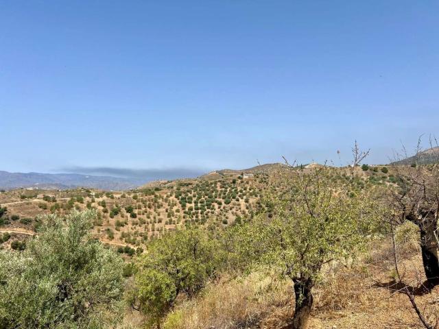 Finca en venta en Sedella Málaga
