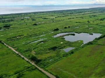FINCA EN VENTA/ALQUILER EN PACORA 74.65 HECTAREAS