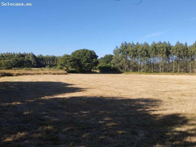 Finca en A Sabugeira, Begonte, Lugo