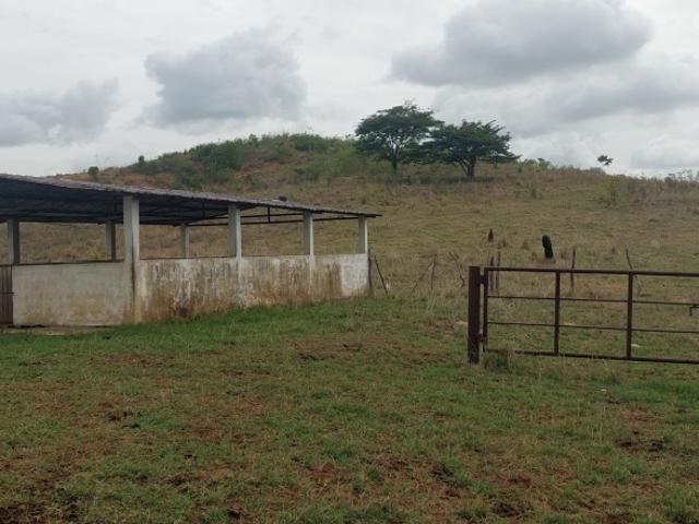 FINCA EN ARAGUA DE MATURIN VE02 1951AM LGOM