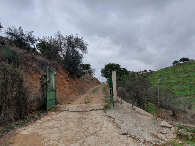 FINCA EN CÁRTAMA