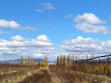 Finca en cuadro benegas de 9 hectáreas y media. San rafael, mendoza