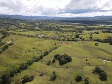 Venta de Finca en Margarita de Chepo 200 HAS