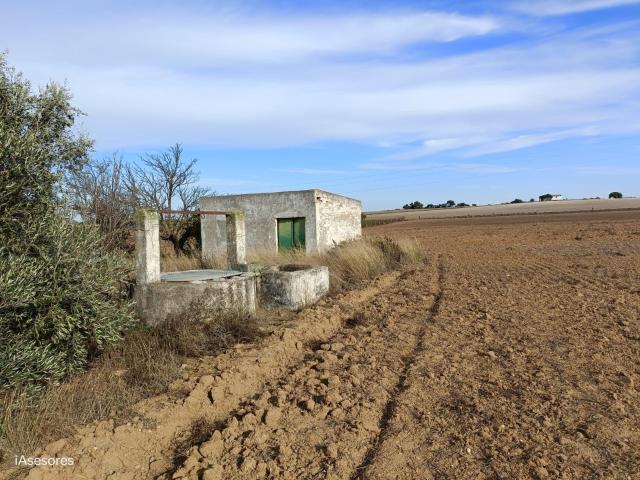 FINCA EN EL MARQUESADO