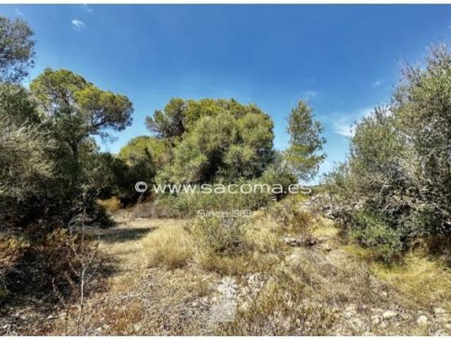 Finca en el paraíso con privacidad absoluta