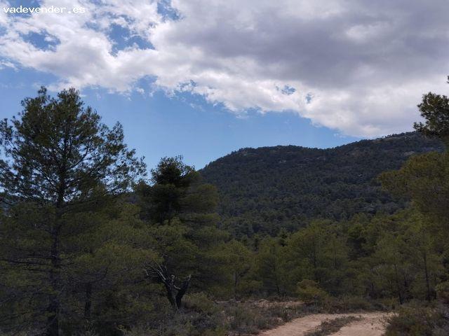 Finca en la montaña con agua
