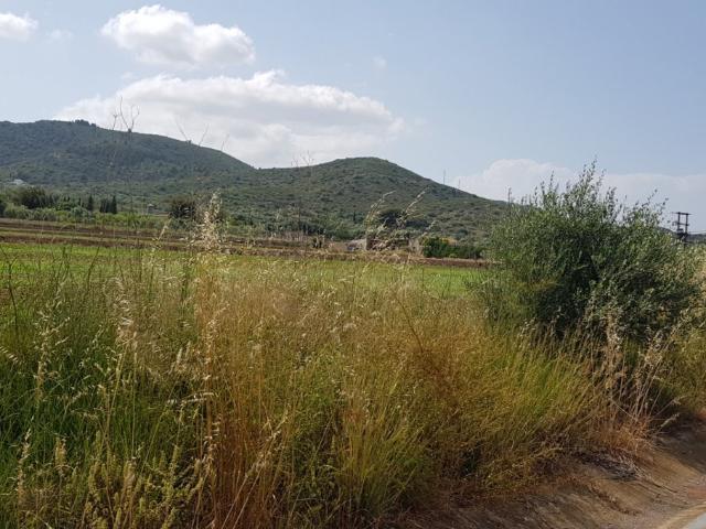 FINCA EN LA RAPITA COLINDANTE CON N 340