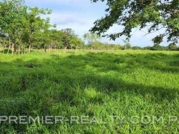 FINCA EN LAS AFUERAS DE PEDASI F2209 151