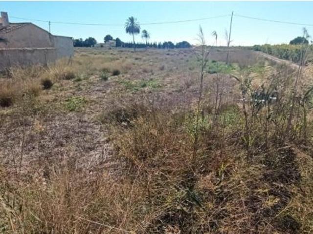 Finca en las bayas