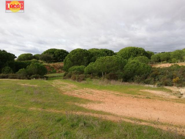 Finca en Lepe