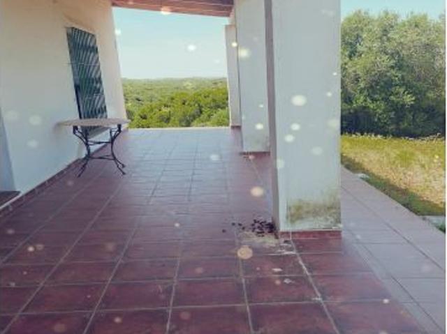 FINCA EN MEDINA SIDONIA