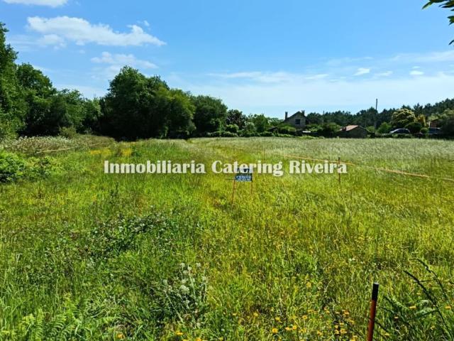 FINCA EN OLEIROS PRECIO ECONÓMICO