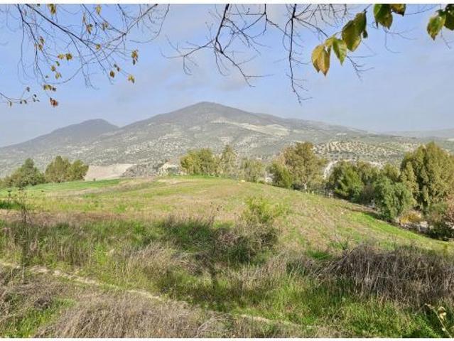 Finca en Olvera