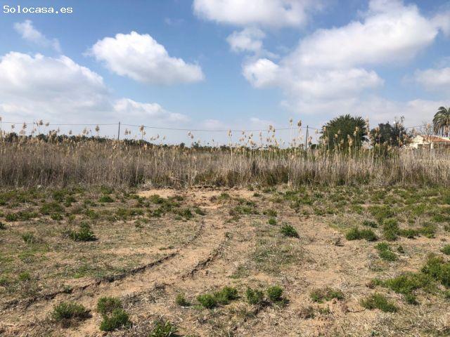 Finca en Santa Fe Elche
