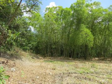 Finca en San Francisco: Terreno en un lugar muy tranquilo con una amplia área plana