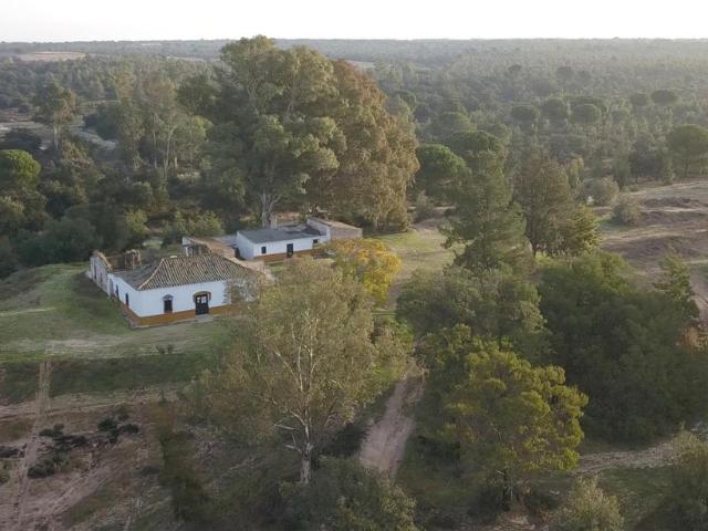Finca exclusiva de 159 ha lindando con Doñana | Privacidad y. 500m² Almonte