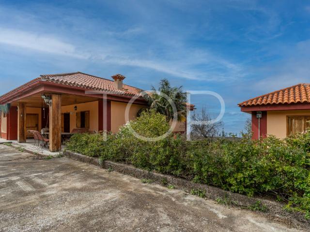 Finca exclusiva en La Orotava: privacidad, naturaleza y alta rentabilidad en un entorno único