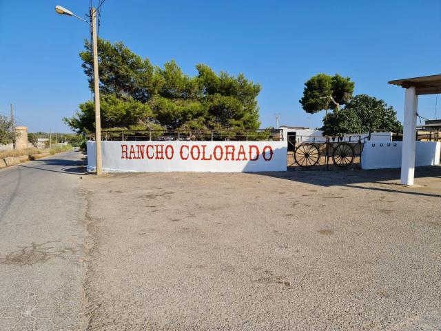 Finca Ganadera con licencia y servicio de Bar en S'Arenal