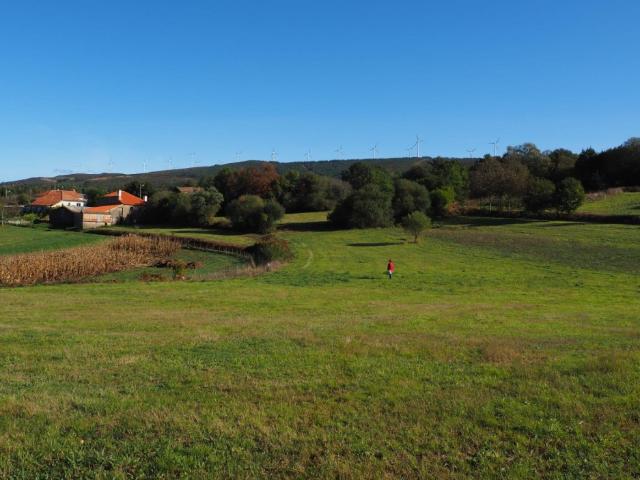 Finca histórica gallega con un potencial infinito cerca de Forcarei