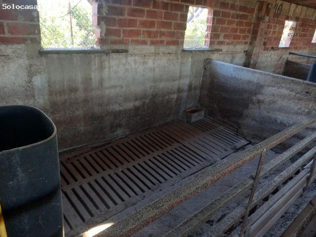 FINCA IDEAL PARA HIPICA