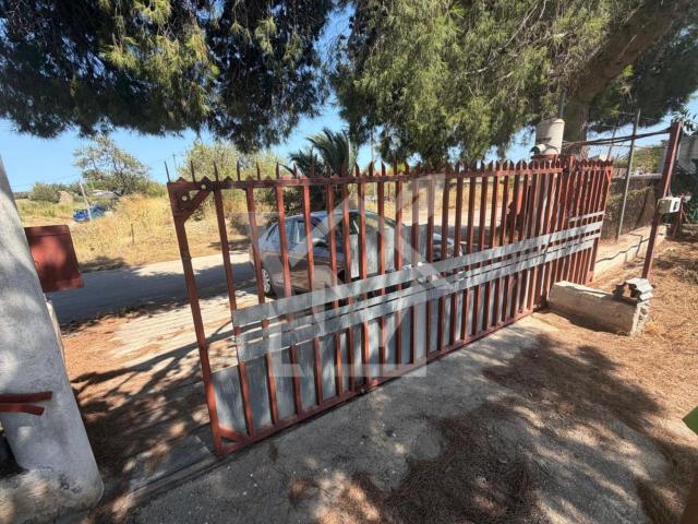 Finca industrial con almacenes y amplio patio en Amposta