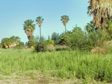 Finca interna Excelente zona calle Milagros Gllèn Mendoza
