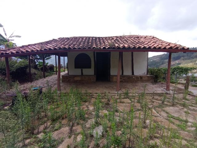 Finca Jarillo