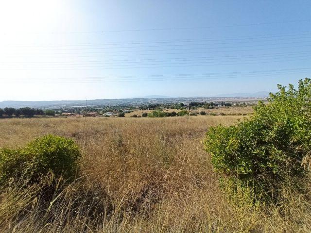 FINCA JUNTO A TORREGUIL