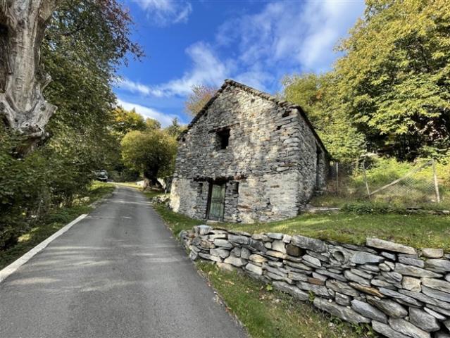 Finca mit 2 Zimmer Sanierung mit Rasen und Wald / Rustico zum Ausbauen mit Wald und Wiese