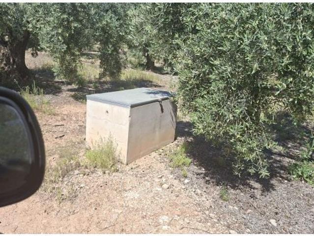 FINCA OLIVAR PEDANÍA SOLERA HUELMA