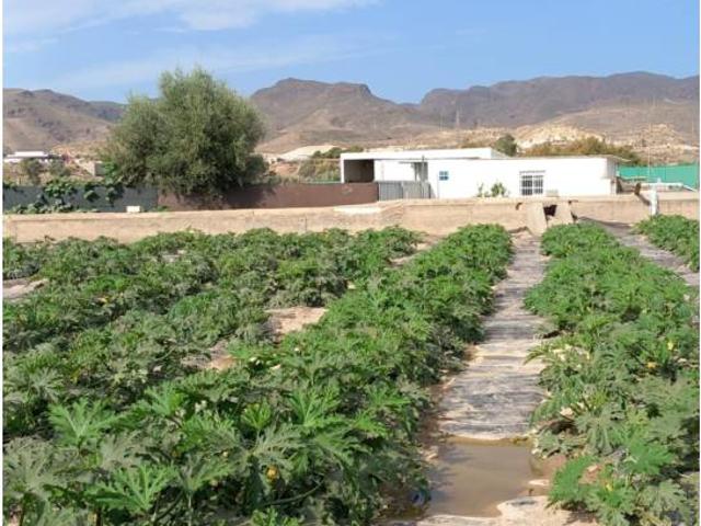 FINCA PECHINA