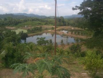 Finca productiva 20 hectáreas Chone Finca en Venta en Chone