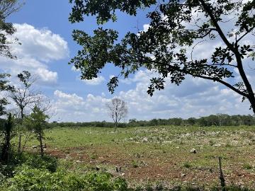 Rancho en venta en Tecoh, Yucatán
