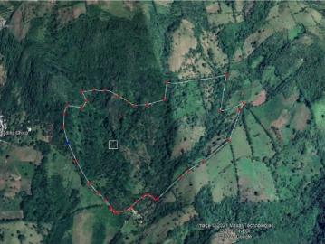 Finca Rancho en venta en Comoapan, San Andrés Tuxtla, Veracruz de Ignacio de la Llave