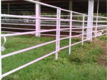Rancho en venta en Catemaco, Veracruz de Ignacio de la Llave