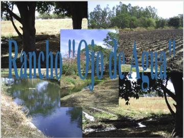Rancho en Ampliación Plan de Ayala, Cuautla, Morelos