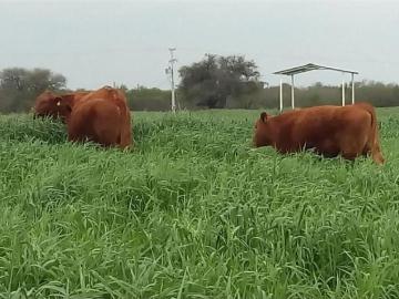 Finca Rancho en venta en Bicentenario, General Terán, Nuevo León